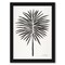 Black Fan Palm by Cat Coquillette Frame  - Americanflat